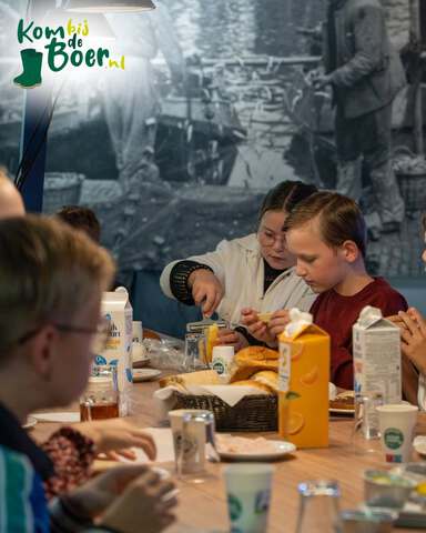 afbeelding 12